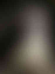 Decoração Casamento Verde & Branco | Foto by Cassie Howard