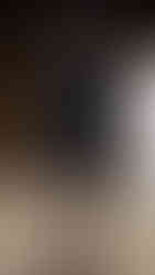 Shiatzy Chen | Foto by WWD | PFW 2026 Outono/Inverno