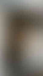 Foto by Rachel Santos | Casamento Candice King & Steven Krueger