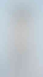 Isabel Sanchis | BBFW'26 | Barcelona Bridal Fashion Week