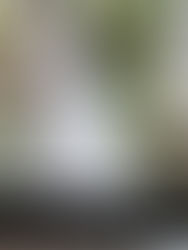 CASAMENTO: Como Segurar o Buquê?