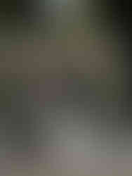 Decoração Casamento Verde & Branco | Foto by _mara_ss via pinterest