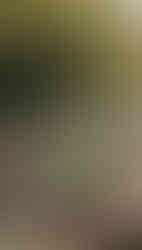 Foto by Decor by Jackie | Bem Casados