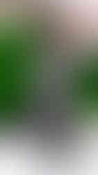 Louis Vuitton | Foto by WWD | PFW 2026 Outono/Inverno