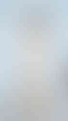 Isabel Sanchis | BBFW'26 | Barcelona Bridal Fashion Week