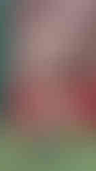 Acne Studios | Foto by WWD | PFW 2026 Outono/Inverno