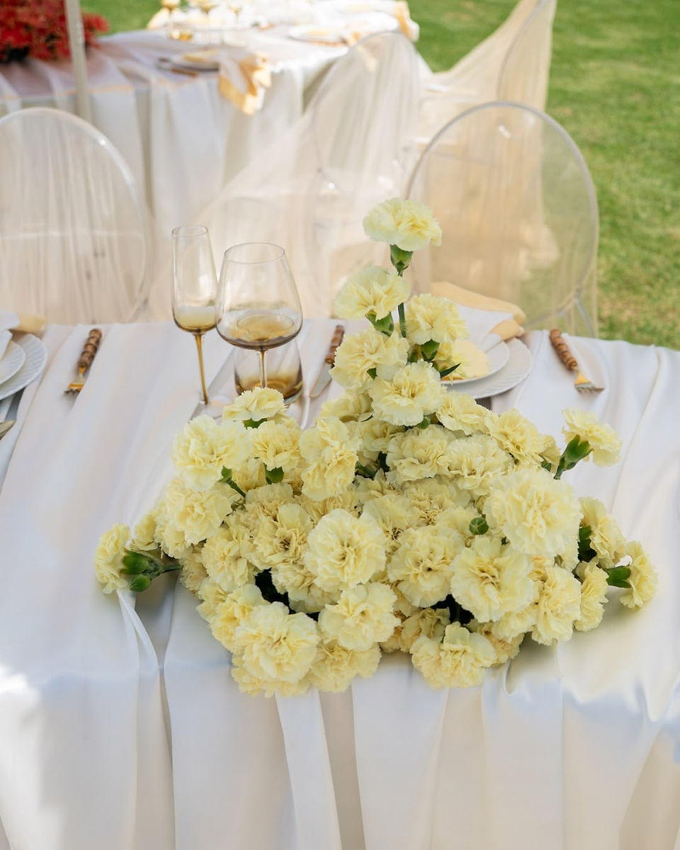 Projeto LAROSE com curadoria da Jimket Events