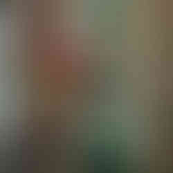 Despedida de Solteira Taylia Himmelberg