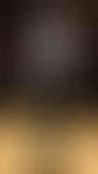 Boss | Foto by WWD | MFW Outono/Inverno 2026