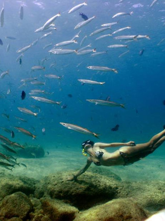 TOP 10 Destinos no Brasil - Fernando de Noronha