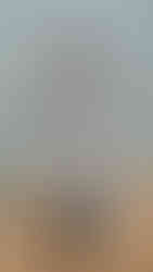 Situationist | Foto by WWD | PFW 2026 Outono/Inverno