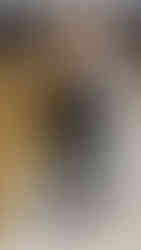 Stella McCartney | Foto by WWD | PFW 2026 Outono/Inverno