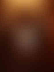 Casamento Civil Taylia & Harry Himmelberg