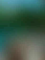 Lua de Mel em Bali - The Ritz-Carlton