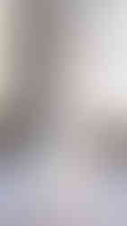 Nardos | Foto by WWD | New York Bridal Fashion Week