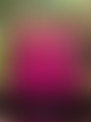 CASAMENTO: Fúcsia Tendência para 2024