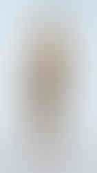 Isabel Sanchis | BBFW'26 | Barcelona Bridal Fashion Week