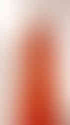 Foto by Bohemian Plus | Vestido de Festa para Casamento na Primavera