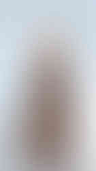 Isabel Sanchis | BBFW'26 | Barcelona Bridal Fashion Week