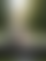 CASAMENTO: Celebridades que casaram em 2024