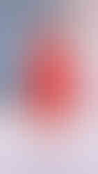 Coleção Carolina Herrera Outono/Inverno 2026 | NYFW