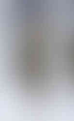 Laura Biagiotti | MFW Outono/Inverno 2026