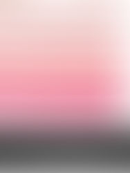 Tons de Rosa para os Vestidos