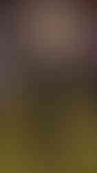 Miu Miu | Foto by WWD | PFW 2026 Outono/Inverno