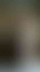 Foto by Rachel Santos | Casamento Candice King & Steven Krueger