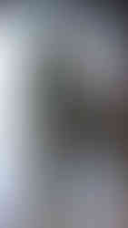 Julie Kegels | Foto by WWD | PFW 2026 Outono/Inverno