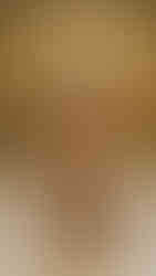 Zimmermann | Foto by WWD | PFW 2026 Outono/Inverno