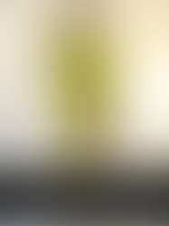 PFW Outono/Inverno 2026 • Courrèges • The Row • Balmain • Dries Van Noten • Stella McCartney • Acne Studios