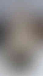 Serina | BBFW'26 | Barcelona Bridal Fashion Week