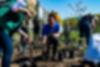 one tree planted event BP máriássy-23042023-349 (1).jpg
