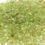 Thumbnail: Peridot stone gravel 50g