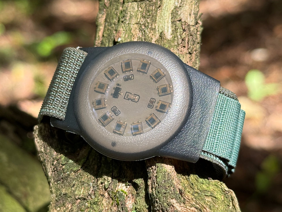 Scalar Wave subtle energy bracelet, magnetotherapy bracelet