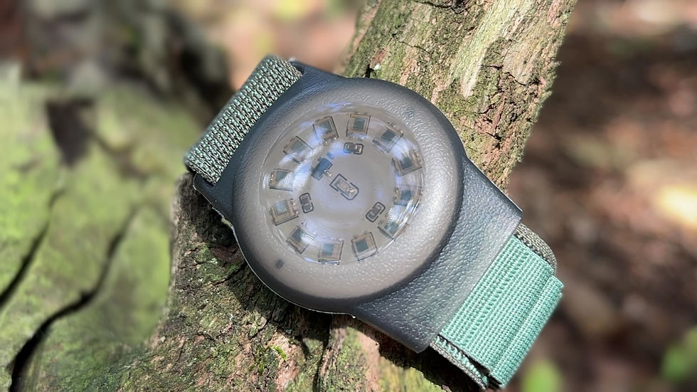 Miniature : Scalar Wave subtle energy bracelet, magnetotherapy bracelet