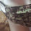 Thumbnail: Camo