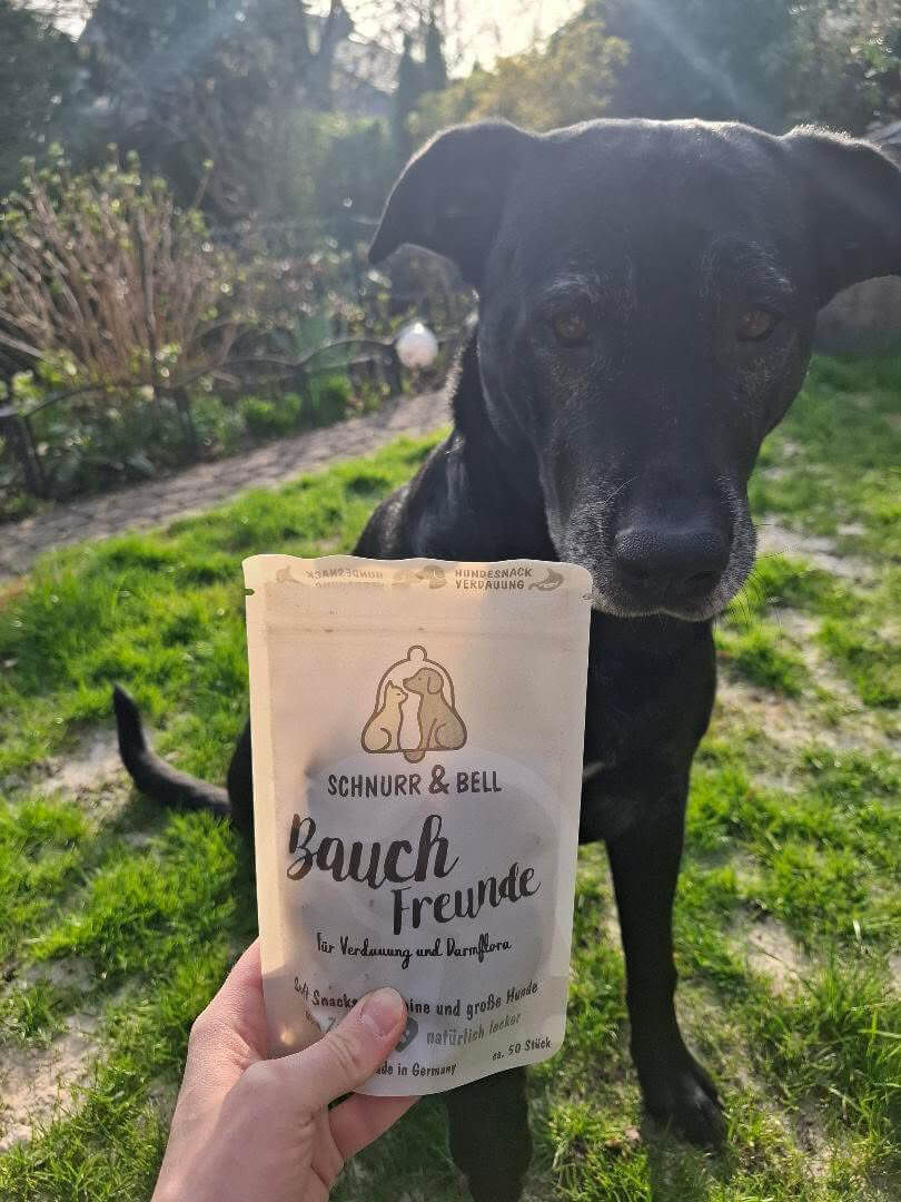 Miniaturbild: Bauch Freunde Soft Chews
