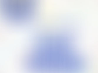 2025 Purse Bingo - Sponsorships Needed