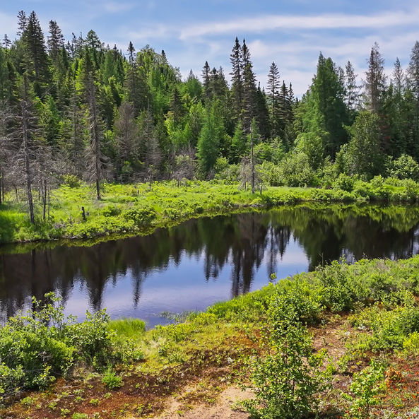 accès nor, terrain, projet, immobilier, résidentiel, nature, plein air, forêt, saint-donat, lanaudière, lac, domiciliaire, maison, construction, architecture, campagne, famille, propriété, résidence, domicile, rivière, ruisseau, chalet, habitation, terre, domaine, nord, laurentides, refuge, zen, paix, plan, villégiature, région, bois, moderne, chaleureux, foyer, chez-soi, vacances, vacation, land, lot, house, home, river, lake, forest, laurentians, north, domain, project, residential, peace, natural, sport, golf, spa, tennis, boat, bateau, pêche, fishing, fish, poisson, hiking, randonnée, notre-dame-de-la-merci, pédestre, vélo, bicyclette, montagne, lac archambault, lac ouareau, rivière ouareau, village, boulangerie, activitées, centre sportif, location, hébergement, gastronomie, restaurant, food, mountain, mountain bike, ski, skiing, alpine ski, ski alpin, ski de fond, cross country, cross country skiing, route, cycling, walking, seadoo, motomarine, skidoo, motoneige, raquette,