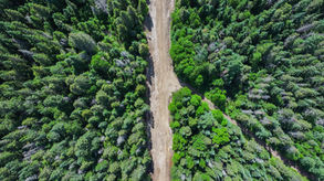 accès nor, terrain, projet, immobilier, résidentiel, nature, plein air, forêt, saint-donat, lanaudière, lac, domiciliaire, maison, construction, architecture, campagne, famille, propriété, résidence, domicile, rivière, ruisseau, chalet, habitation, terre, domaine, nord, laurentides, refuge, zen, paix, plan, villégiature, région, bois, moderne, chaleureux, foyer, chez-soi, vacances, vacation, land, lot, house, home, river, lake, forest, laurentians, north, domain, project, residential, peace, natural, sport, golf, spa, tennis, boat, bateau, pêche, fishing, fish, poisson, hiking, randonnée, notre-dame-de-la-merci, pédestre, vélo, bicyclette, montagne, lac archambault, lac ouareau, rivière ouareau, village, boulangerie, activitées, centre sportif, location, hébergement, gastronomie, restaurant, food, mountain, mountain bike, ski, skiing, alpine ski, ski alpin, ski de fond, cross country, cross country skiing, route, cycling, walking, seadoo, motomarine, skidoo, motoneige, raquette,