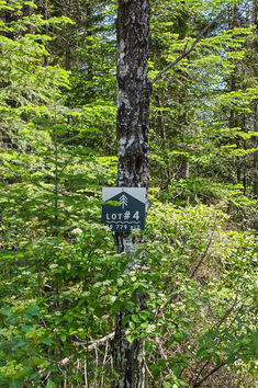 accès nor, terrain, projet, immobilier, résidentiel, nature, plein air, forêt, saint-donat, lanaudière, lac, domiciliaire, maison, construction, architecture, campagne, famille, propriété, résidence, domicile, rivière, ruisseau, chalet, habitation, terre, domaine, nord, laurentides, refuge, zen, paix, plan, villégiature, région, bois, moderne, chaleureux, foyer, chez-soi, vacances, vacation, land, lot, house, home, river, lake, forest, laurentians, north, domain, project, residential, peace, natural, sport, golf, spa, tennis, boat, bateau, pêche, fishing, fish, poisson, hiking, randonnée, notre-dame-de-la-merci, pédestre, vélo, bicyclette, montagne, lac archambault, lac ouareau, rivière ouareau, village, boulangerie, activitées, centre sportif, location, hébergement, gastronomie, restaurant, food, mountain, mountain bike, ski, skiing, alpine ski, ski alpin, ski de fond, cross country, cross country skiing, route, cycling, walking, seadoo, motomarine, skidoo, motoneige, raquette,
