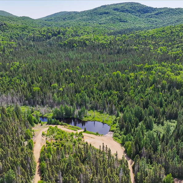 accès nor, terrain, projet, immobilier, résidentiel, nature, plein air, forêt, saint-donat, lanaudière, lac, domiciliaire, maison, construction, architecture, campagne, famille, propriété, résidence, domicile, rivière, ruisseau, chalet, habitation, terre, domaine, nord, laurentides, refuge, zen, paix, plan, villégiature, région, bois, moderne, chaleureux, foyer, chez-soi, vacances, vacation, land, lot, house, home, river, lake, forest, laurentians, north, domain, project, residential, peace, natural, sport, golf, spa, tennis, boat, bateau, pêche, fishing, fish, poisson, hiking, randonnée, notre-dame-de-la-merci, pédestre, vélo, bicyclette, montagne, lac archambault, lac ouareau, rivière ouareau, village, boulangerie, activitées, centre sportif, location, hébergement, gastronomie, restaurant, food, mountain, mountain bike, ski, skiing, alpine ski, ski alpin, ski de fond, cross country, cross country skiing, route, cycling, walking, seadoo, motomarine, skidoo, motoneige, raquette,