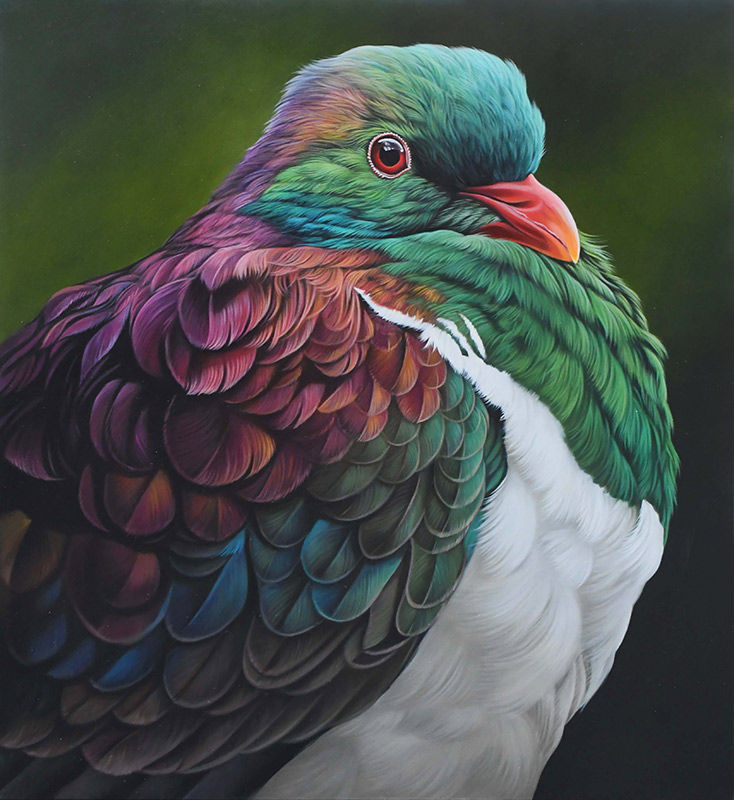 Stunning nz bird art original painting of a Kereru by Craig Platt artist.