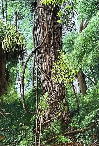 New in store August 2025; highly detailed painting of a tree trunk with climbing vines in a NZ bush scene by Pauline Allomes; link takes you to the product page for this artwork.