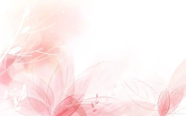 2293065.webp