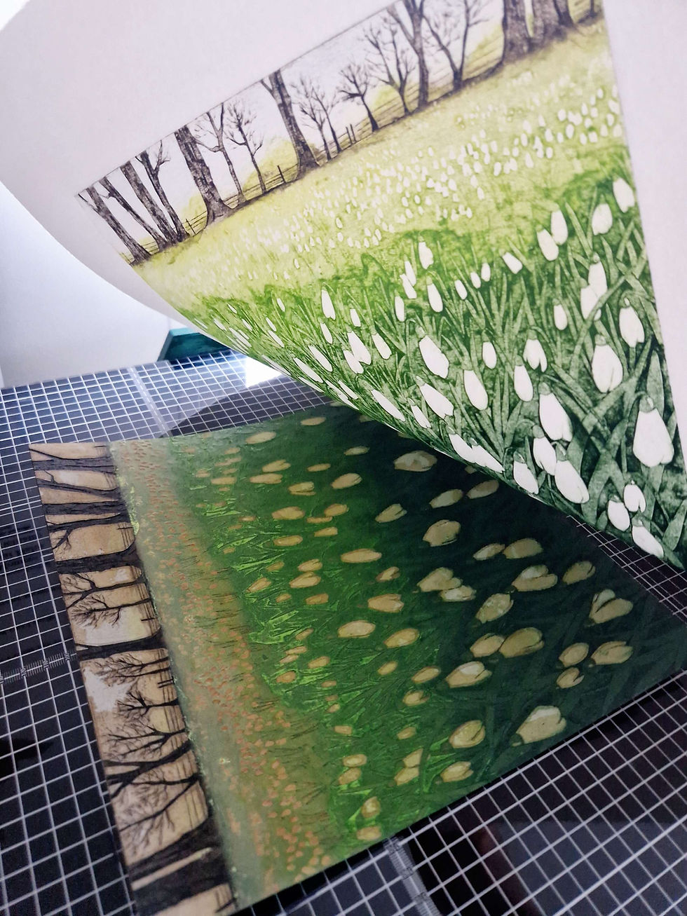 Thumbnail: FIRST SIGN OF SPRING, an original collagraph print of Snowdrop flowers