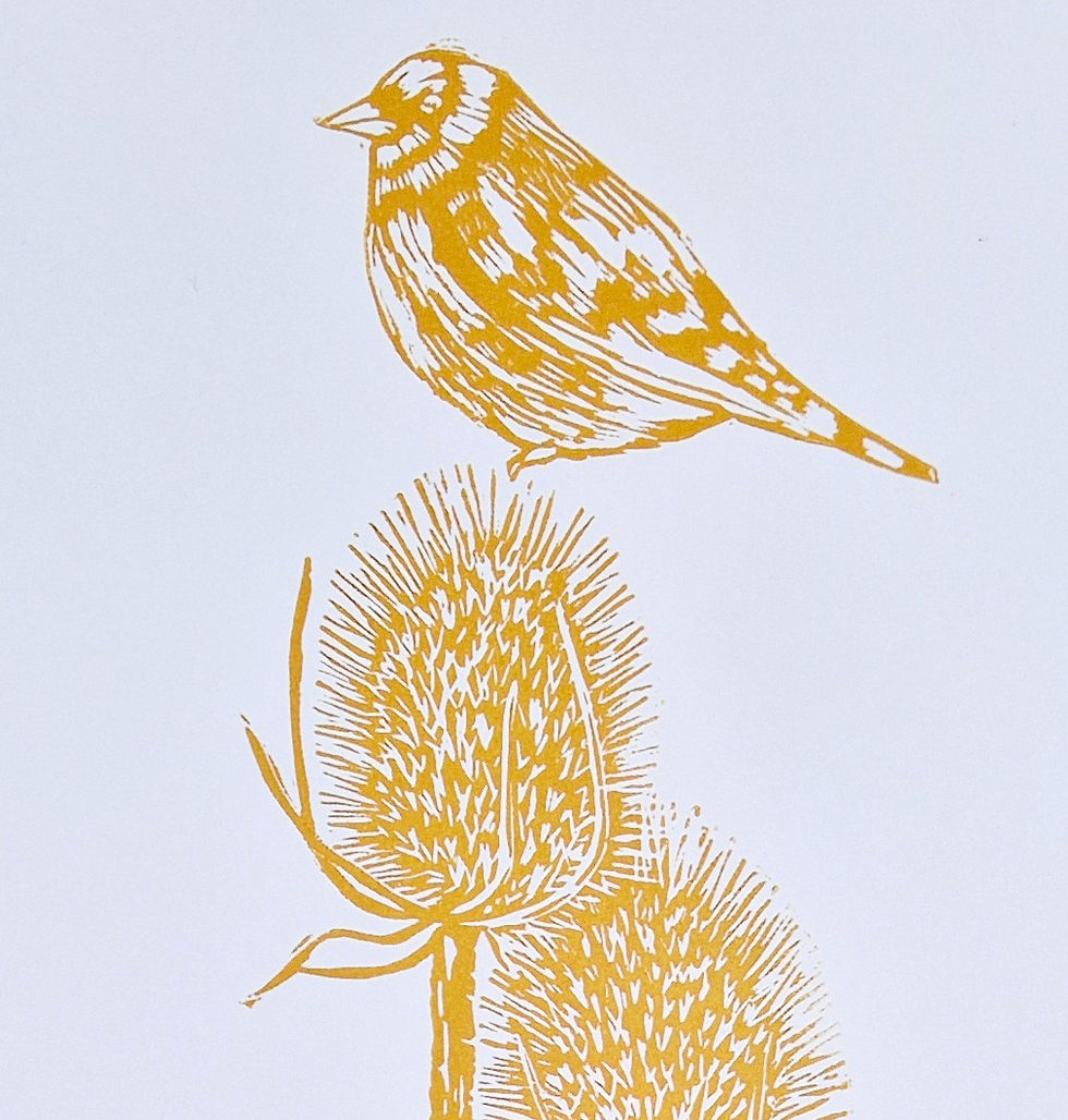 Goldfinch and Teasel linocut
