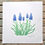 Thumbnail: GRAPE HYACINTH, an original linocut print